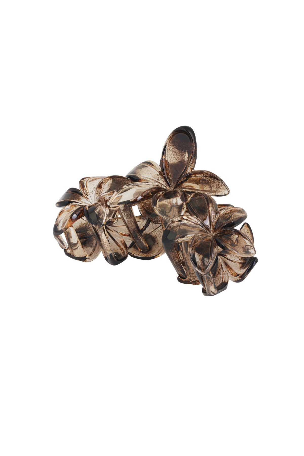 Haarklem wildflower bruin