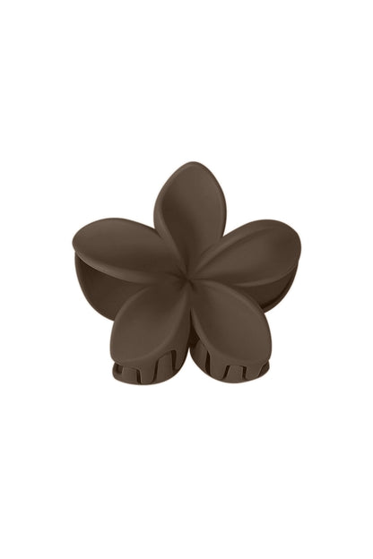 Haarklem bloem bruin