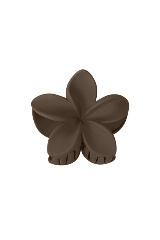 Haarklem bloem bruin