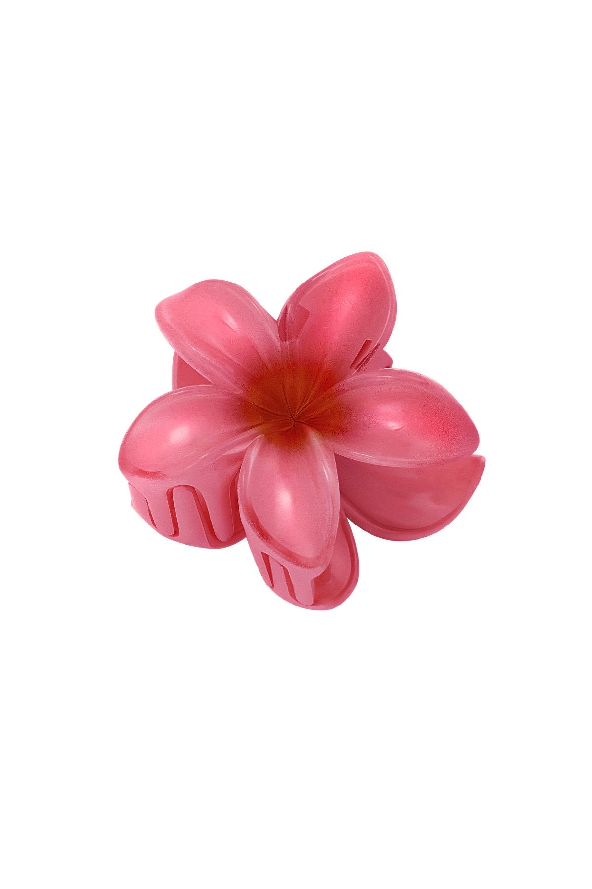 Haarklem hawaii bloem rood
