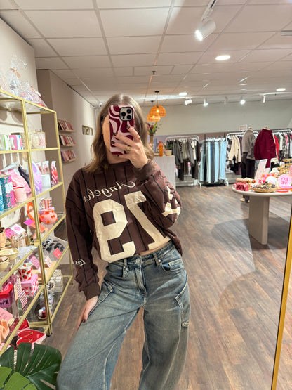 Faye - gestreepte jersey sweater bruin