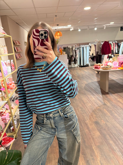 Stijlvolle longsleeve met blauwe en bruine strepen.