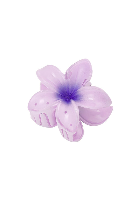 Haarklem hawaii bloem paars