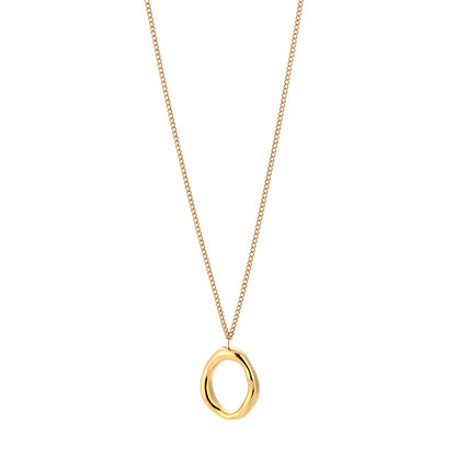 Lange cirkel ketting goud
