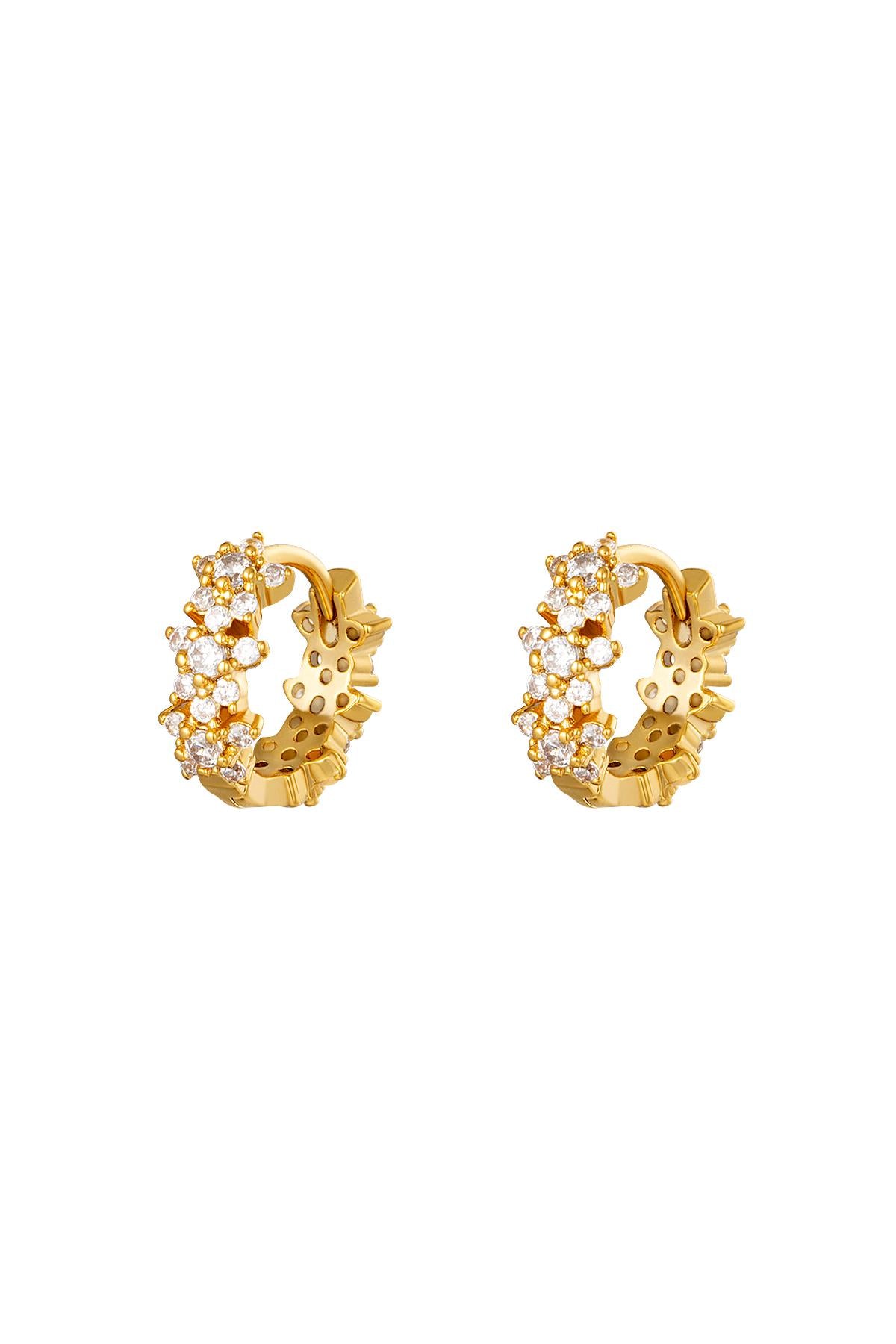 Ster strass hoepel oorbellen goud