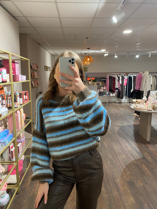 Trendy dames trui met strepen in bruin en blauw.